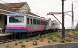 95925Pinhal 007